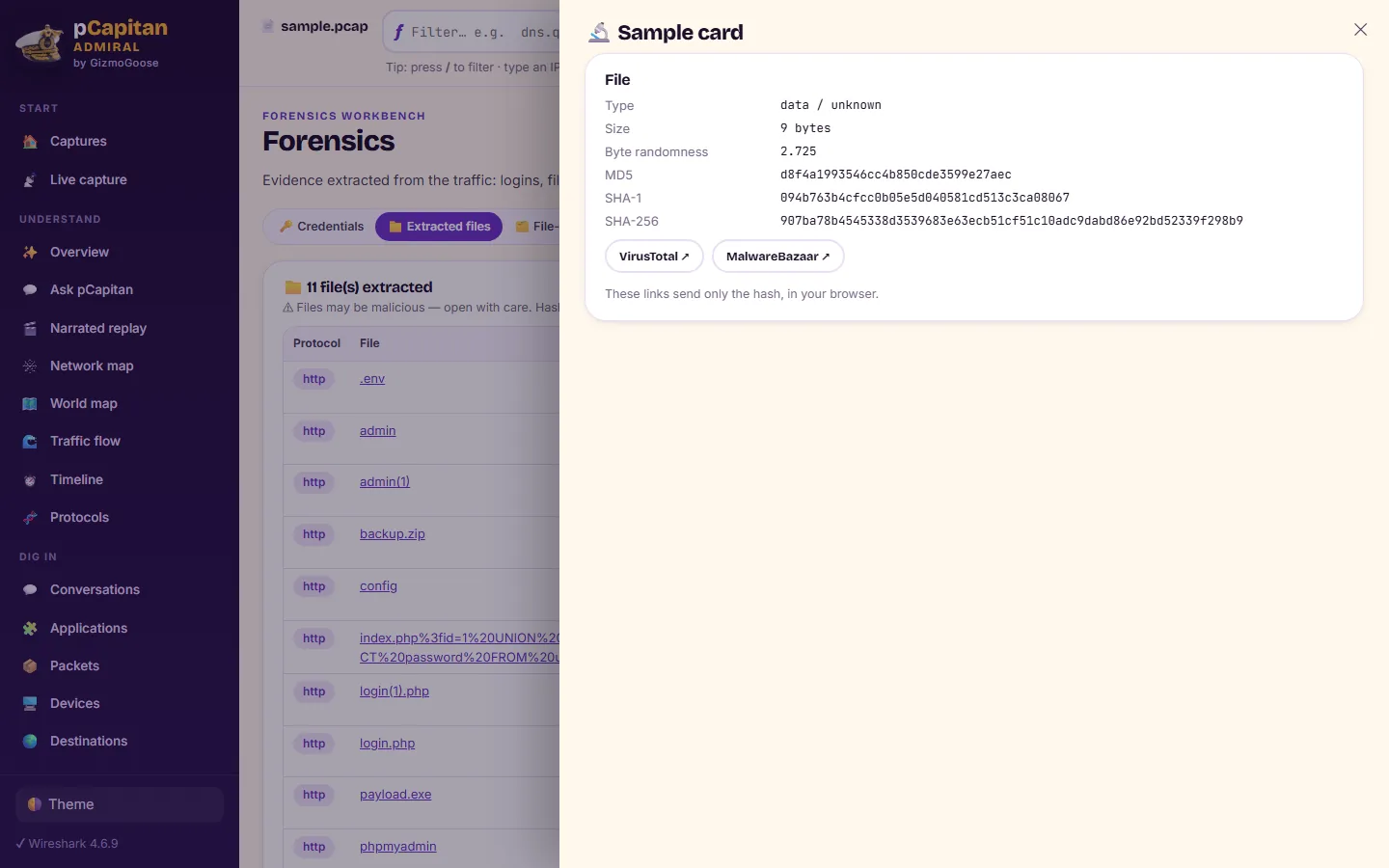 Malware static-triage sample card, without ever running the file